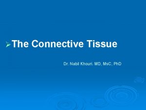 The Connective Tissue Dr Nabil Khouri MD Ms