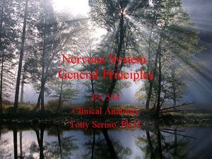 Nervous System General Principles PA 544 Clinical Anatomy