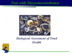 Fun with Macroinvertebrates Biological Assessment of Pond Health
