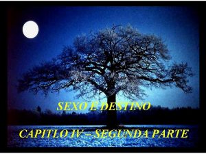 SEXO E DESTINO CAPITLO IV SEGUNDA PARTE Em