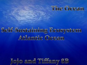 The Ocean SelfSustaining Ecosystem Atlantic Ocean Jojo and