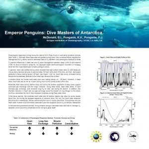 Emperor Penguins Dive Masters of Antarctica Mc Donald