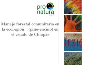 Manejo forestal comunitario en la ecoregin pinoencino en