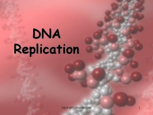DNA Replication copyright cmassengale 1 Replication Facts DNA