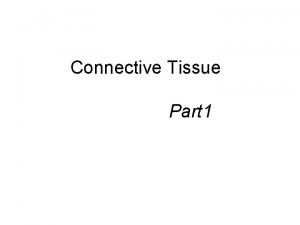 Connective Tissue Part 1 CONNECTIVE TISSUE Most diverse