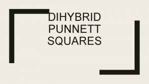DIHYBRID PUNNETT SQUARES We have been studying Monohybrid