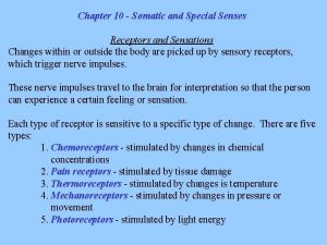 Chapter 10 Somatic and Special Senses Receptors and