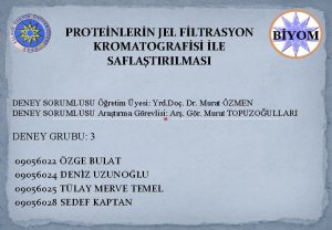 PROTENLERN JEL FLTRASYON KROMATOGRAFS LE SAFLATIRILMASI DENEY SORUMLUSU