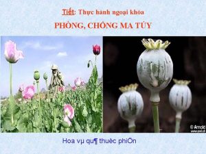 Tit Thc hnh ngoi kha PHNG CHNG MA