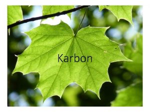 Karbon kt 1 Hvor finner vi karbon Oppdrag