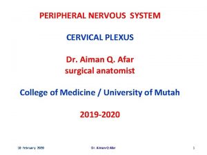 PERIPHERAL NERVOUS SYSTEM CERVICAL PLEXUS Dr Aiman Q