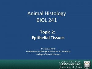 Animal Histology BIOL 241 Topic 2 Epithelial Tissues