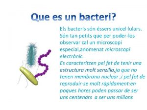 Els bacteris sn ssers unicellulars Sn tan petits