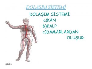 DOLAIM SSTEM aKAN bKALP cDAMARLARDAN OLUUR 12212021 NSANLARDA