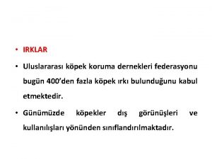 IRKLAR Uluslararas kpek koruma dernekleri federasyonu bugn 400den