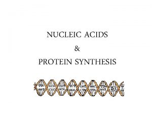 NUCLEIC ACIDS PROTEIN SYNTHESIS DNA Deoxyribo Nucleic Acid
