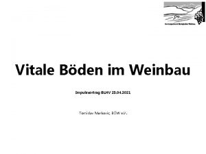 Vitale Bden im Weinbau Impulsvortrag BLHV 23 04