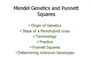 Mendel Genetics and Punnett Squares Origin of Genetics