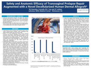 Safety and Anatomic Efficacy of Transvaginal Prolapse Repair