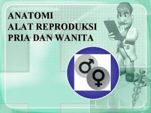 ANATOMI ALAT REPRODUKSI PRIA DAN WANITA ANATOMI ALAT