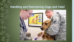 Handling and Restraining Dogs and Cats Common Core