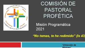 COMISIN DE PASTORAL PROFTICA Misin Programtica 2021 No