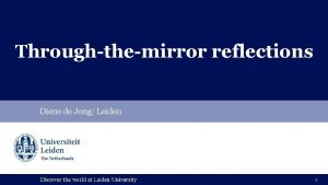 Throughthemirror reflections Diene de Jong Leiden 1 1