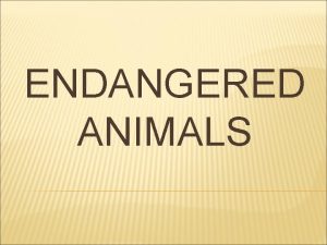 ENDANGERED ANIMALS WHAT IS IT Endangered animals species