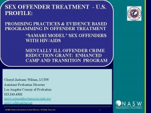 SEX OFFENDER TREATMENT U S PROFILE PROMISING PRACTICES