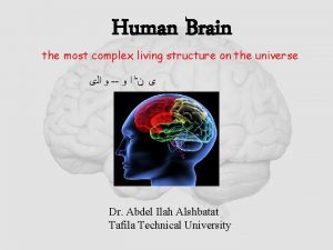 Human Brain the most complex living structure on