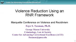 Violence Reduction Using an RNR Framework Marquette Conference