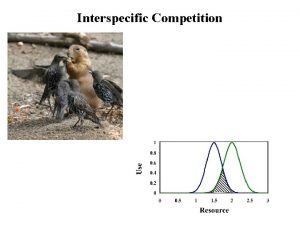 Interspecific Competition The niche and interspecific competition Species