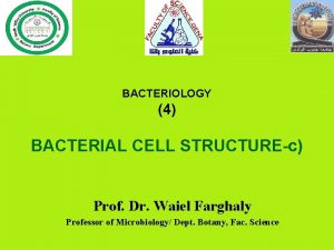 BACTERIOLOGY 4 BACTERIAL CELL STRUCTUREc Prof Dr Waiel