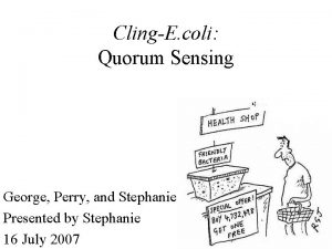 ClingE coli Quorum Sensing George Perry and Stephanie