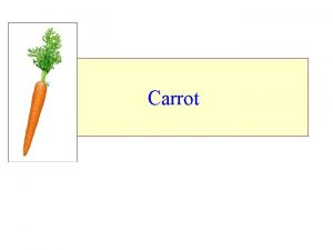 Carrot Root vegetables include carrots radish turnip beets