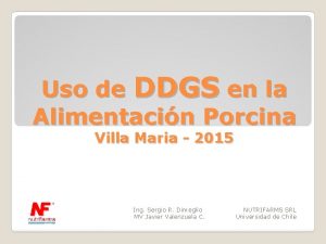 Uso de DDGS en la Alimentacin Porcina Villa