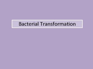 Bacterial Transformation The bacterium Bacterial chromosome Plasmids Cytoplasm