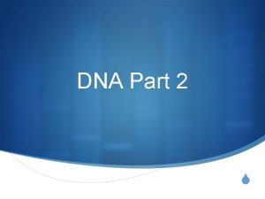 DNA Part 2 S KWL DNA Part 2