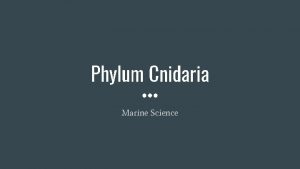 Phylum Cnidaria Marine Science Cnidarian Characteristics stinging cells