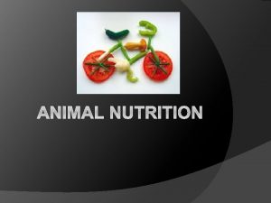 ANIMAL NUTRITION Subprocesses of nutrition Ingestion taking food