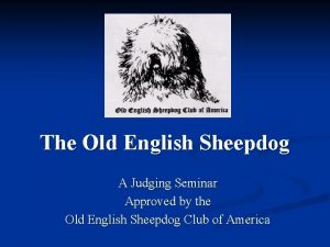 The Old English Sheepdog A Judging Seminar Approved