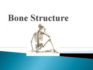 Bone Structure Bone Tissue Characteristics Bone is also