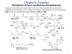 Chapter 4 Terpenes Bioynthesis of Homo and Bishomo