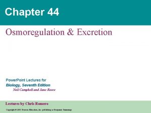 Chapter 44 Osmoregulation Excretion Power Point Lectures for