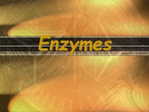 Enzymes 1 What Are Enzymes Enzymes are proteins