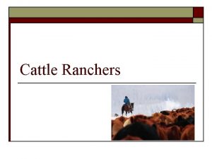 Cattle Ranchers Texas Cattle o o o In