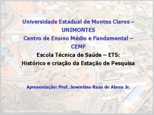 Universidade Estadual de Montes Claros UNIMONTES Centro de