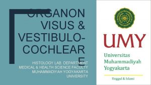 ORGANON VISUS VESTIBULOCOCHLEAR E HISTOLOGY LAB DEPARTMENT MEDICAL