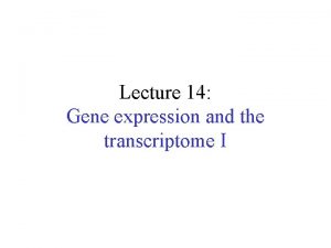 Lecture 14 Gene expression and the transcriptome I