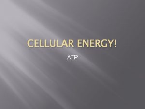 CELLULAR ENERGY ATP What is ATP ATP adenosine